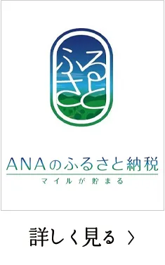 ANA ふるさと納税